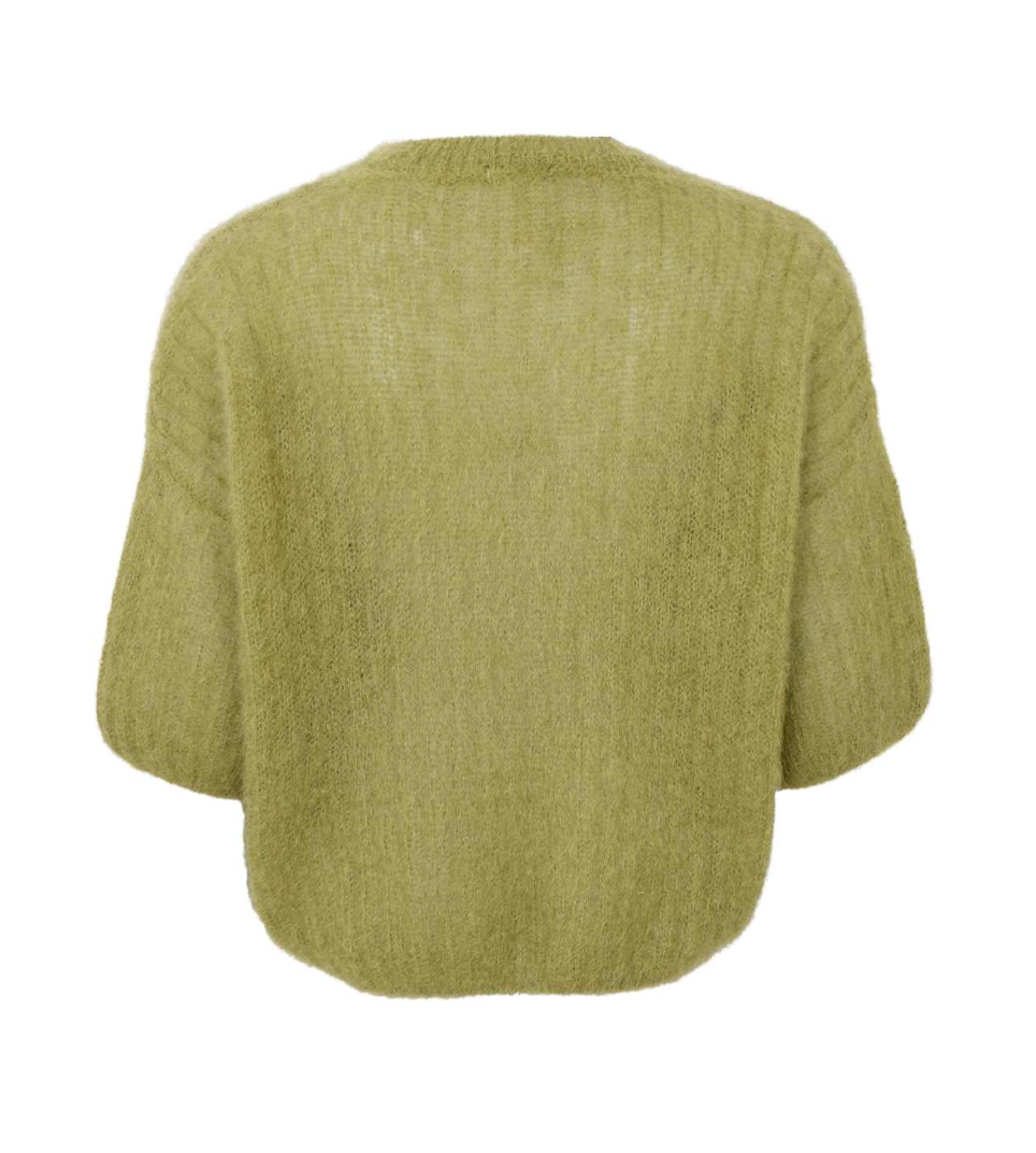 Black Colour BCBjoerk S/S Jumper Dk. Lime