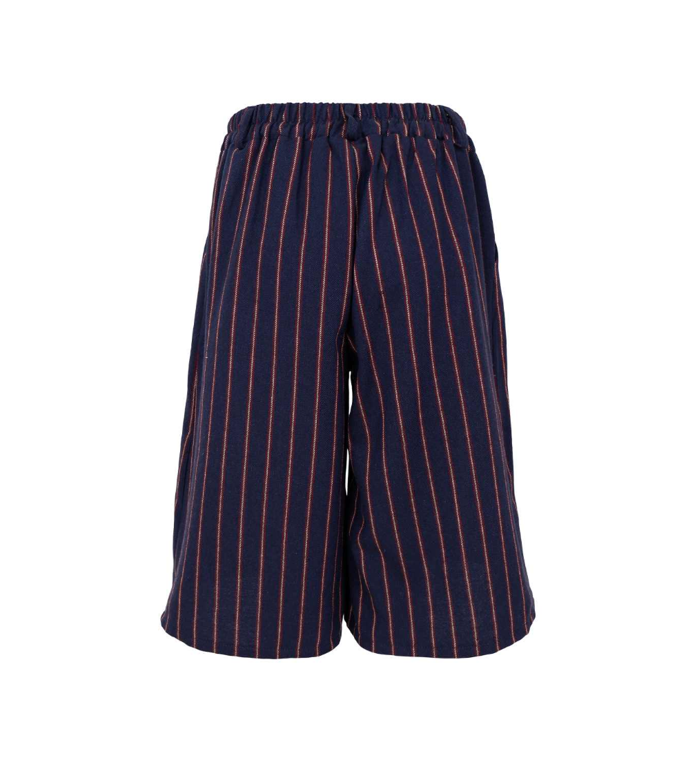 Black Colour BCPeta Shorts Navy