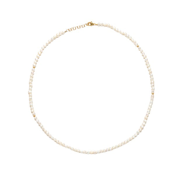 Sorelle Jewellery Sky Necklace FG Guld 3088
